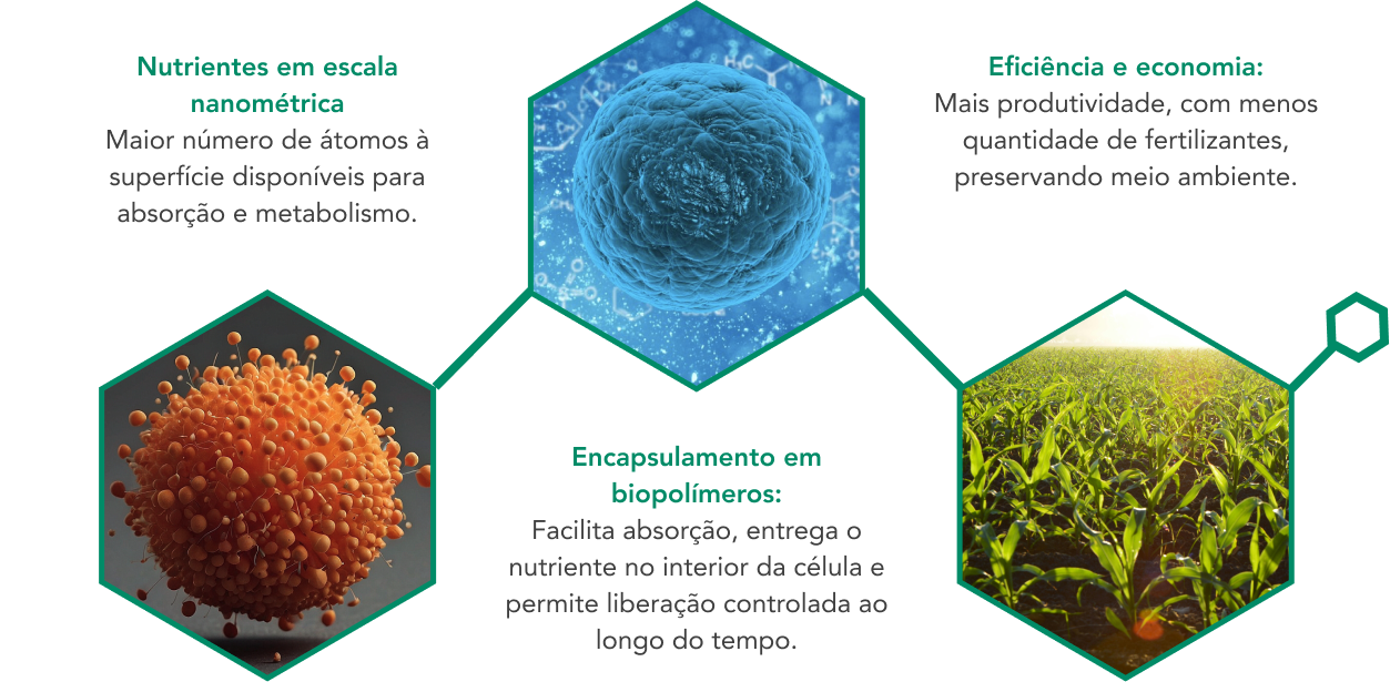 Imagem ilustrativa com os benefícios da nanotecnologia em texto, incluindo: nutrientes em escala nanométrica, eficiência e economia, e encapsulamento em biopolímeros