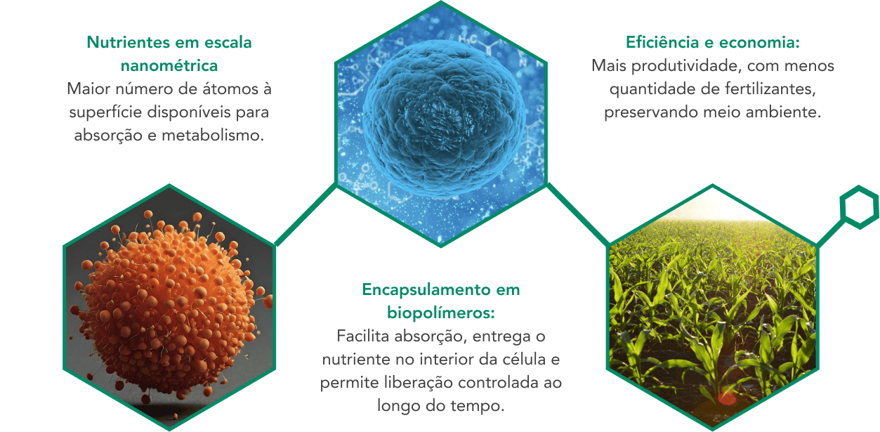 Imagem ilustrativa com os benefícios da nanotecnologia em texto, incluindo: nutrientes em escala nanométrica, eficiência e economia, e encapsulamento em biopolímeros